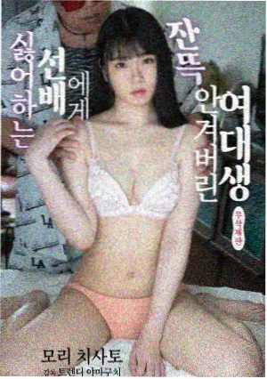 哆啦A梦 大雄与天空的理想乡 海报